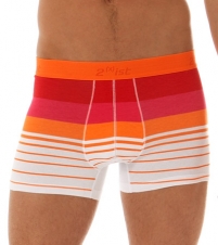 Tropical Beach Stripe Square Cut Trunk